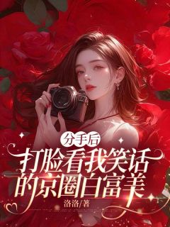 分手后，打脸看我笑话的京圈白富美夏菀何之舟免费全章节目录阅读