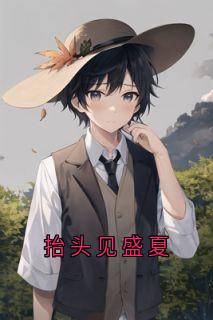 抬头见盛夏(栗子小小小说)小说最新章节