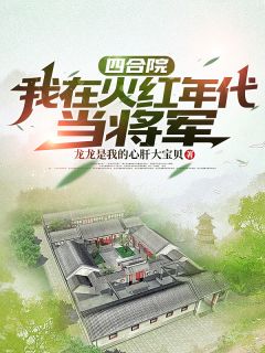 四合院：我在火红年代当将军by龙龙是我的心肝大宝贝