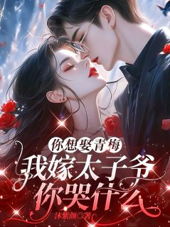 快手热推你想娶青梅，我嫁太子爷你哭什么小说主角姜时妤何以桉江清清在线阅读