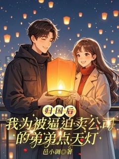 抖音归国后，我为被逼迫卖公司的弟弟点天灯小说章节阅读
