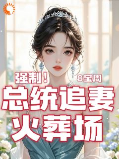 强制！总统追妻火葬场(贺岁安苏拉尼)全文章节在线阅读