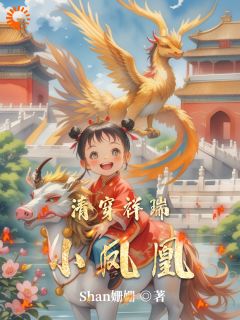 清穿祥瑞小凤凰云九九胤禛弘晖小说全章节最新阅读