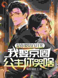 爆款热文叶尘顾向晴在线阅读-她甩的替身竟是全球首富全章节列表
