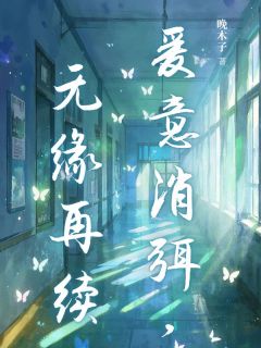 陆泽川林晚小说哪里可以看 小说爱意消弭，无缘再续全文免费阅读