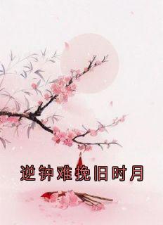 谢辰林素雅沈廷川小说最后结局  谢辰林素雅沈廷川完结版免费阅读