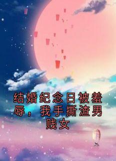 私藏读物结婚纪念日被羞辱，我手撕渣男贱女徐莉杨凯完结版免费阅读