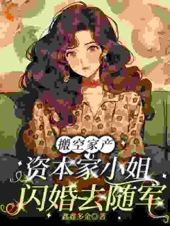 无广告小说搬空家产，资本家小姐闪婚去随军-沈黎顾照野在线阅读