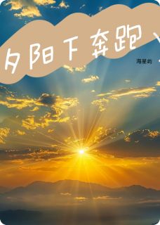夕阳下奔跑by海星屿免费阅读小说大结局
