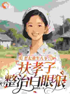 主人公林清如杜景风小说老太重生八零！扶孝子整治白眼狼在线全文阅读