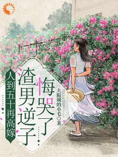 人到五十再高嫁，渣男逆子悔哭了吴晓辉王慧芳最新章节在线阅读