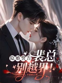 无广告小说隐婚警告：裴总，别越界！-漆与墨裴述在线阅读