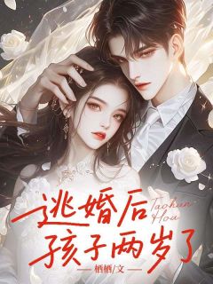 精品小说逃婚后，孩子两岁了全文目录畅读