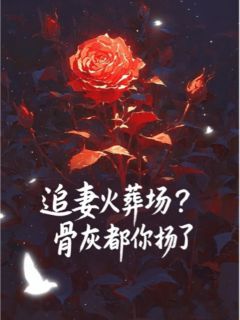 书荒必备追妻火葬场？骨灰都给你扬了全文章节阅读