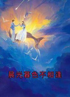 晨光暮色不相逢林若琛杨慧玲-小说txt全文阅读