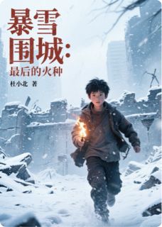 暴雪围城：最后的火种(林宇陈雪)全文章节在线阅读