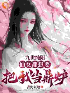 九世纯阳，仙女都想要把我当鼎炉在线全文阅读-主人公叶沐枫慕天歌小说