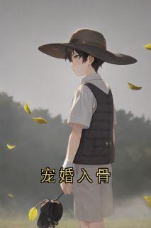高质量小说宠婚入骨在线试读