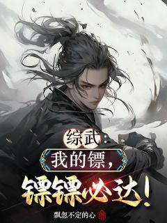 综武之我的镖，镖镖必达林枫陆小凤全章节完结版在线阅读