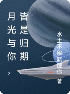 月光与你，皆是归期小说_月光与你，皆是归期小说结局阅读