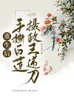 重生后她手撕白莲，摄政王递刀小说主角是沈璧君齐时齐时宜全文完整版阅读