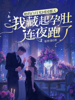 他的白月光回国那天，我藏起孕肚连夜跑了林盛夏赫连槿小说全文-他的白月光回国那天，我藏起孕肚连夜跑了小说