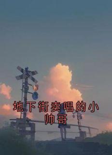 抖音地下街卖唱的小帅哥by佚名在线阅读-随缘阅读网