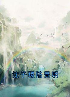 小说推荐沈子稷陆景明完结版全章节阅读