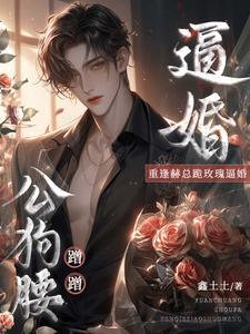 辛暖辰赫焱坤全章节阅读-不爱后，霸总他怎么反向追妻全文分享阅读