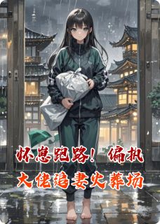 怀崽跑路！偏执大佬追妻火葬场by1江小枫1-随缘阅读网