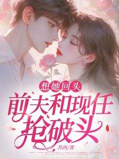 沈晚君景延章节免费阅读