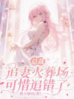 总裁追妻火葬场，可惜追错了完整版免费阅读，沈聿白顾念安沈芝安小说大结局在哪看
