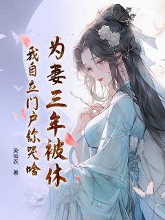 抖音爆款为妻三年被休，我自立门户你哭啥完整小说（全文阅读）