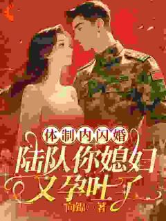 百度贴吧小说一孕成名！全单位吃瓜，主角舒妍陆乘风全文免费