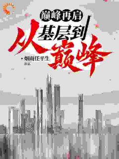 沈飞苏涵是什么小说免费版阅读抖音热文