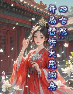 正版小说四合院：开局替许大茂洞房林卫东许大茂在线免费阅读