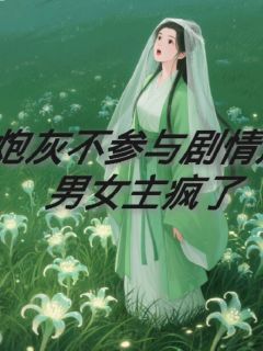 老书虫力荐炮灰不参与剧情后，男女主疯了免费无弹窗阅读