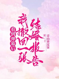 (精品)看到弹幕后，我撤回一张结婚报告小说