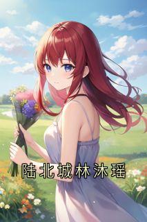 陆北城林沐瑶陆北城林沐瑶-小说txt全文阅读