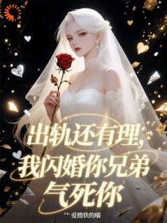 抖音闪婚大佬！前任你可要来祝贺txt小说阅读