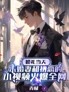 【抖音热推】宋辞白薇全文在线阅读-婚礼当天，未婚妻和初恋的小视频火爆全网全章节目录