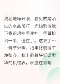 爆款小说和顶流互换身体后主角沈星燎林栀晚全文在线完本阅读