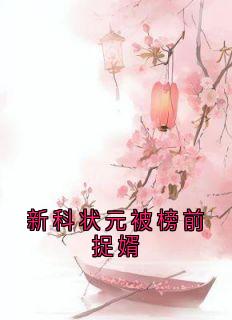 新科状元被榜前捉婿小说的书名是什么