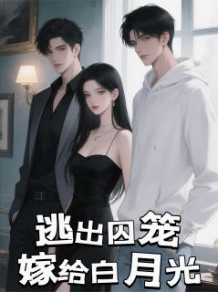 抖音苏晴祁寒小说叫什么名字