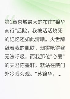 陈墨轩婉儿我的丫鬟冒充我全章节免费阅读