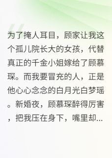 小宇顾慕琛全文最新章节正版小说免费阅读