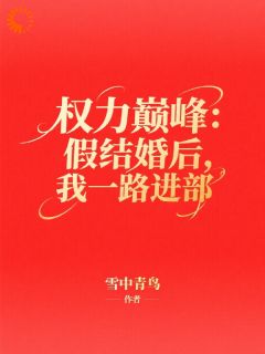 主人公李云涛王为民小说权力巅峰：假结婚后，我一路进部在线全文阅读