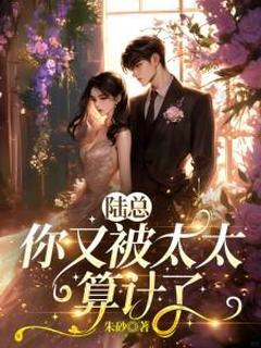 陆总，你又被太太算计了快手热推康荏苒陆士安免费阅读
