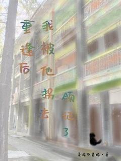 重逢后，我被他拐去领证了顾锦江苑全章节目录免费阅读