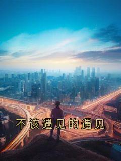 不该遇见的遇见(全章节)-陈霖泽林茵在线阅读